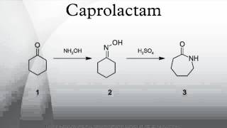 Caprolactam [upl. by Aneg]