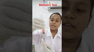 Molischs TestHelix BiolabBiochemistry Practical shorts [upl. by Eseilanna827]