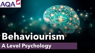 ALevel Psychology  Behaviourism [upl. by Arvin506]