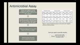 Combined Use of BacteriophageDerived Endolysins and Membrane Destabilizing by Nicole Hansed [upl. by Rains]