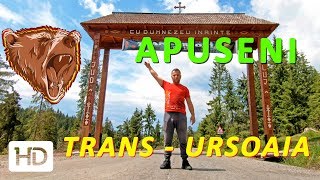 TARA MOTILOR plange dupa paduri pe drumul TRANSURSOAIA DN 1R Albac  Huedin in Muntii Apuseni [upl. by Namyw]