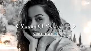 Yaara O Yaara Lyrics Slowed Reverb Listenit [upl. by Bald]