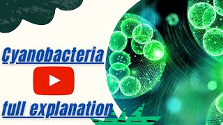 Cyanobacteria  Blue green algae  full explanation of Cyanobacteria [upl. by Elinet611]