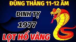 THẦY TỬ VI CHỈ RÕ ĐÚNG TRONG THÁNG 11 VÀ 12 ÂM TUỔI ĐINH TỴ SINH 1977 ĐÀO TRÚNG MỎ VÀNG CỰC GIÀU [upl. by Bevis441]