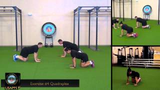 4 FOR THE CORE EXERCISE 4 QUADRAPLEX [upl. by Padriac160]