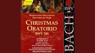 Christmas Oratorio BWV 248 Pt 1 Aria Grosser Herr o starker Konig Bass [upl. by Nerrol]