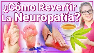 Eliminar La Neuropatía  Cómo Revertir O Curar El Daño Nervioso O Adormecimiento [upl. by Jahdai]