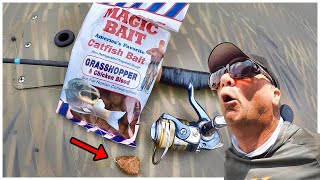 A Simple Way To Catch Catfish With Magic Bait From Walmart [upl. by Dez]