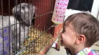 Toddler Feeding The Rabbit [upl. by Ahsinnod]