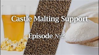 Do our Malts Require a Protein Rest  Is lactose sugar  Castle Support 2 [upl. by Oap]