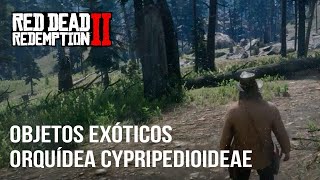 Red Dead Redemption 2  Guía Localización Orquídea Cypripedioideae [upl. by Sousa]