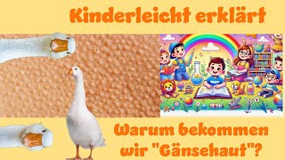 Warum Bekommen Wir Gänsehaut Kinderleicht Erklärt erklärung kids gänsehaut goosebumps [upl. by Masterson]