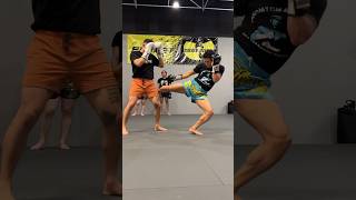 The low kick in Muay Thai [upl. by Naot]