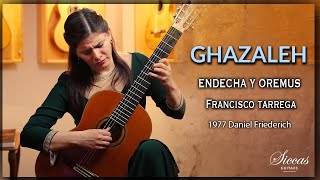 Ghazaleh Shahparrad plays Endecha y Oremus by Francisco Tarrega on a 1977 Daniel Friederich [upl. by Avram]