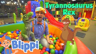 Blippi Visits an Indoor Playground  Learning Videos For Kids  Education Show For Toddlers [upl. by Christis]