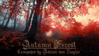 Relaxing Celtic Music  Autumn Forest [upl. by Nannarb434]