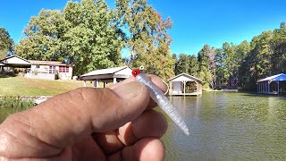 THIS Jig Is An ABSOLUTE Crappie Magnet OVER 50 CRAPPIE EASY [upl. by Geddes]