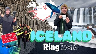 Driving Icelands Ring Road 🐋🧊🐧  Travel Vlog [upl. by Lletnom576]