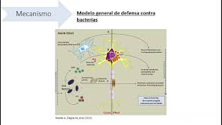 Porphyromonas gingivalis y la Enfermedad de Alzheimer [upl. by Etiragram]