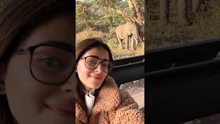 Ananya Pandey in safari Park ananyapandey safari [upl. by Bertelli]