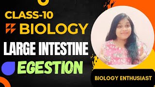 BIOLOGYLARGE INTESTINEEGESTIONCLASS 10th [upl. by Nerraf]