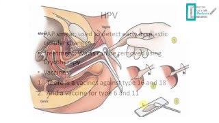 STDs Overview [upl. by Steffie]