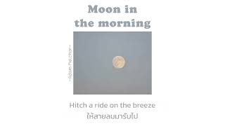 THAISUBLYRICS Moon in the morning  Adam Melchor แปลไทย [upl. by Atiran976]