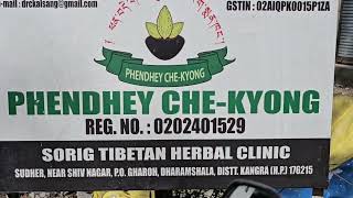 address of phendhey chekyong soring Tibetan herbal clinic shiv nagar Dharamshala hp for cancer [upl. by Ahsekan252]