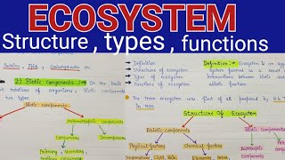 Ecosystem structure and functions  Ecosystem structure  ecosystem structure and functions notes [upl. by Reffineg]