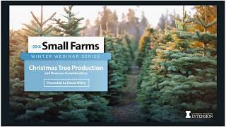 How to Start Your Own Christmas Tree Farm [upl. by Adabelle88]