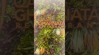 Qasr Gharnata restaurant kuwait kuwait 🇰🇼 youtubeshorts shortvideo shorts [upl. by Olethea]