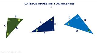 Catetos opuestos y adyacentes [upl. by Essex]