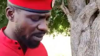 HE president bobi wine talks about coffee bill [upl. by Julio]