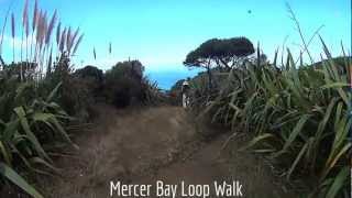 Comans Track to Mercer Bay Loop Walk to Mercer Bay to Farley Point in Waitakere [upl. by Moreland]