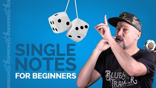 Harmonica Single Notes for Beginners  Learn quotLow Riderquot [upl. by Ueihttam]