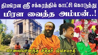 உலகில் எங்கும் இல்லாத ஸ்ரீசக்ர மகாமேருவில் காட்சி கொடுக்கும் அம்மன்  ஸ்ரீ வாலையானந்த சித்தர் [upl. by Asyla]