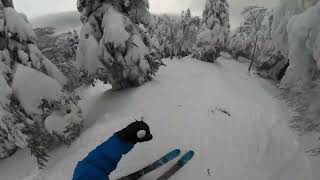 TREE SKIING at Jay Peak S2E6 [upl. by Archibald]