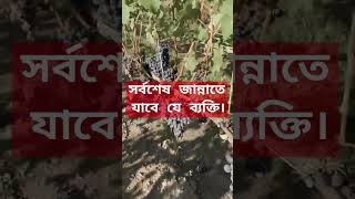 islamicstatus new video Sorboses je bekti jannate jabe।সর্বশেষ যে জান্নাতে যাবেন। waz [upl. by Areis]