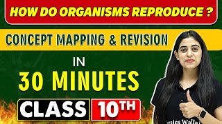 HOW DO ORGANISMS REPRODUCE in 30 Minutes  Mind Map Series for Class 10th [upl. by Vanhomrigh]