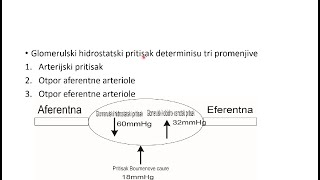 Aferentna eferentna arteriola Regulacija glomerulskog hidrostatskog pritiska GFR [upl. by Goldston]