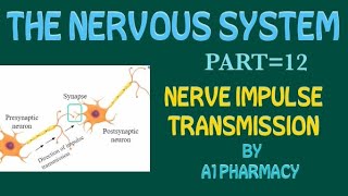 NERVE IMPULSE TRANSMISSION IN HINDI BASICS OF NERVE IMPULSE TRANSMISSION [upl. by Alegnave391]