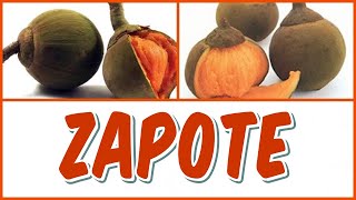 ¿CONOCES EL ZAPOTE Y SUS BENEFICIOS PARA LA SALUD [upl. by Hibbs]