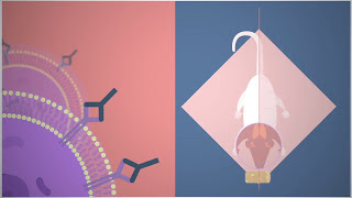 IRB Barcelona Targeting metastasisinitiating cells through the fatty acid receptor CD36 [upl. by Lodi]