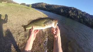 Fishing Lake Del Valle  Jerkbait bassfishing fishing jerkbait bankfishing largemouthbass [upl. by Anirehs]