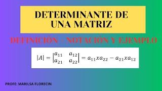 DETERMINANTE DE UNA MATRIZ [upl. by Sada654]