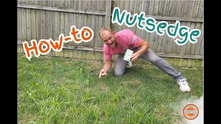 How to Treat NutSedge in your Lawn [upl. by Krys450]