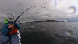 Kayak Fishing for Bottomfish at Double Bluff [upl. by Nilpik]