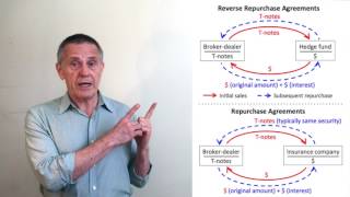 Reverse Repurchase Agreements [upl. by Palmer688]