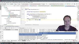 Spring Boot MongoDB MongoTemplate and Query [upl. by Vihs]