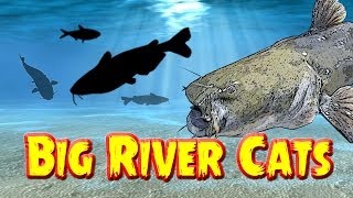 Kanawha River Flathead Catfish Trip [upl. by Seana577]